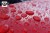 c984d831bc01fe5d5394c137a502e9f2.jpg